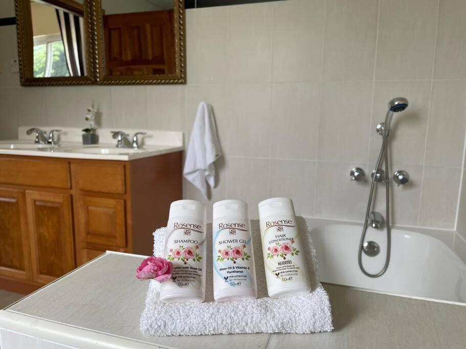 מונטגו ביי Spring Garden Mobay Resort Luxurious Apartments מראה חיצוני תמונה